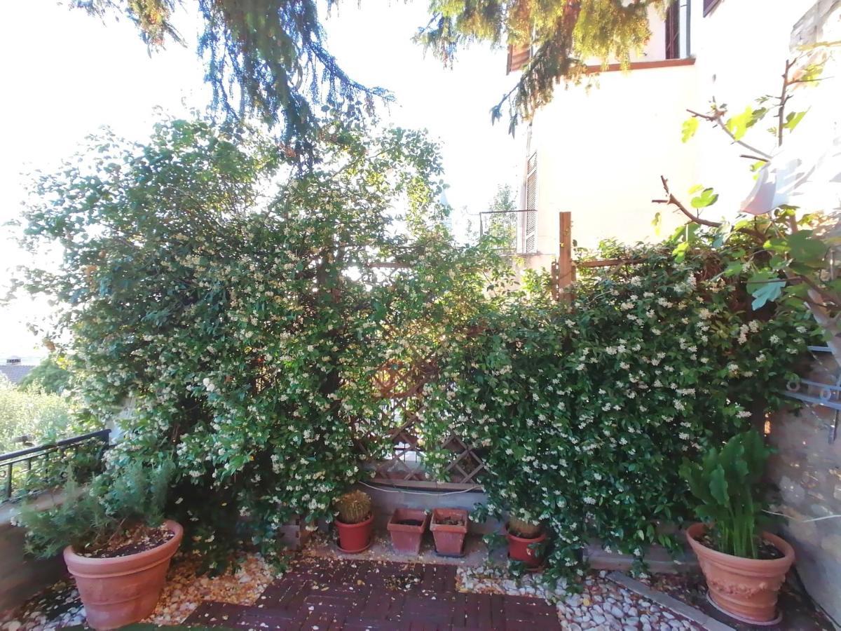Assisi Garden Suite Экстерьер фото